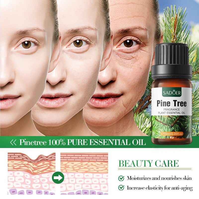 Aceite Esencial Eucalipto Globulus 10ml