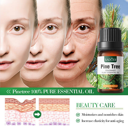 Aceite Esencial Eucalipto Globulus 10ml