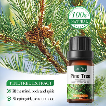 Aceite Esencial Eucalipto Globulus 10ml